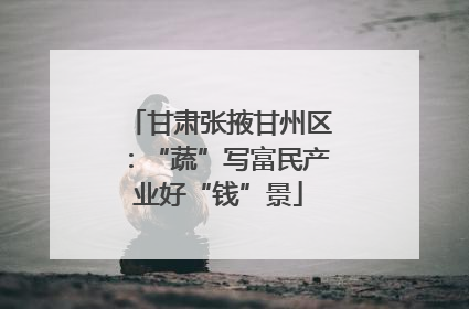 甘肃张掖甘州区：“蔬”写富民产业好“钱”景